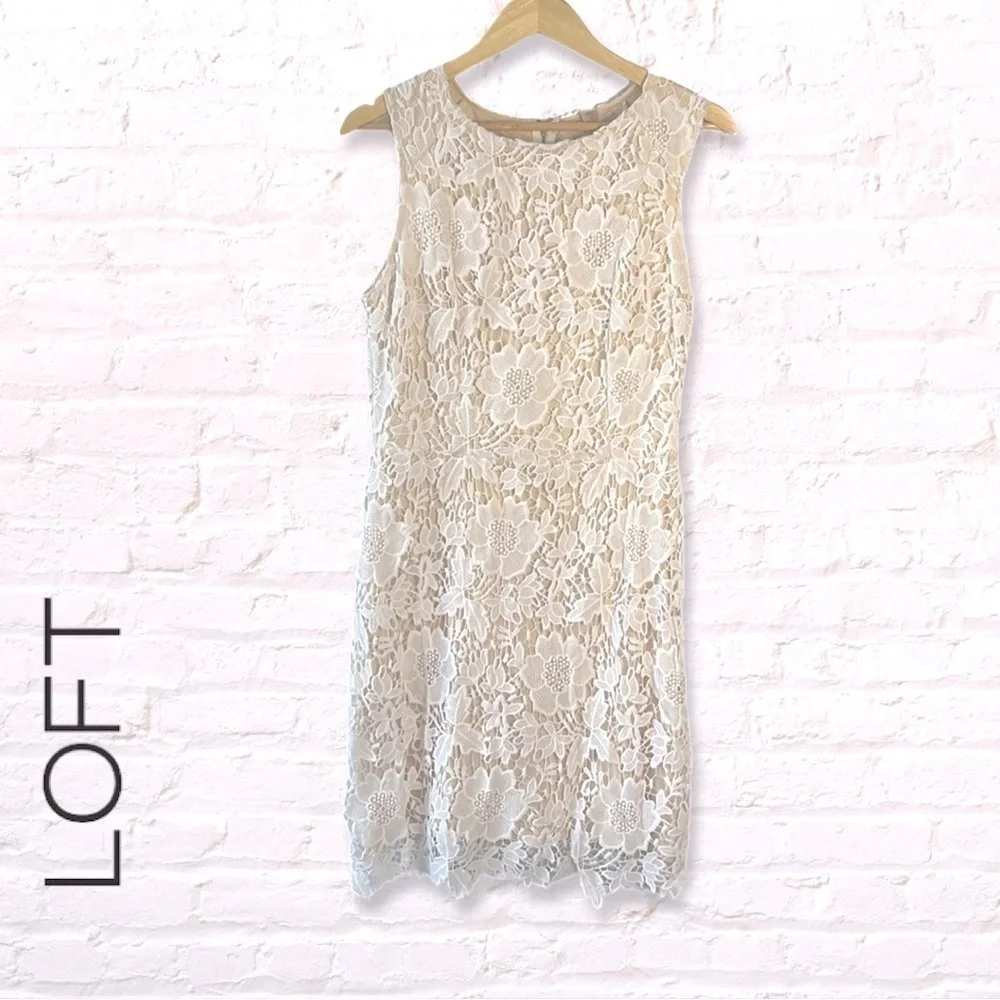 Loft Floral Cream Sleeveless Lace Shift Dress Size 8 Cream and Beige Lace